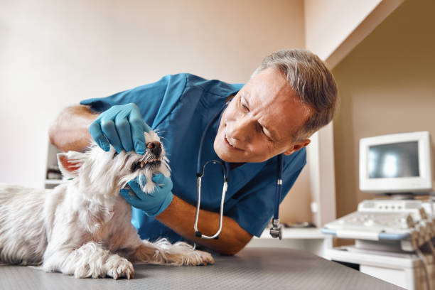 Best Pediatric Emergency Dentist in Key Biscayne, FL